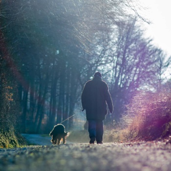 Der tägliche Spaziergang