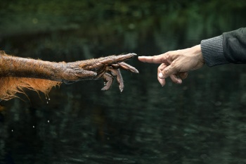 Creation of Trust