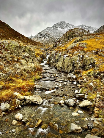 Couleurs d’automne au Col du Grand-Saint-Bernard