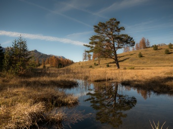 Herbstlicher Lai Nair