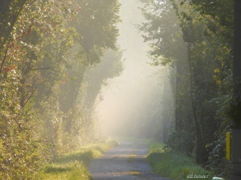 Herbstbeginn an der Thur