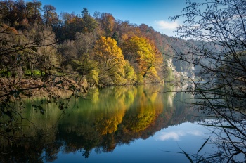 Reflets d'automne