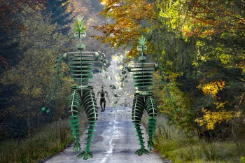 The chlorophylle brothers take over the forest in autumn