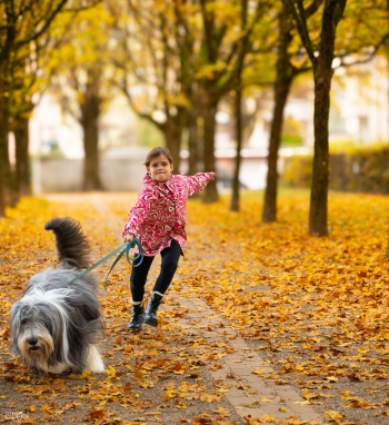 Natürlicher Bewegungsdrang im Herbst