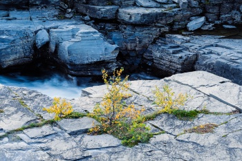 Herbstabend im Abisko Nationalpark