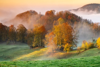 Burgruine Frohburg im Nebel