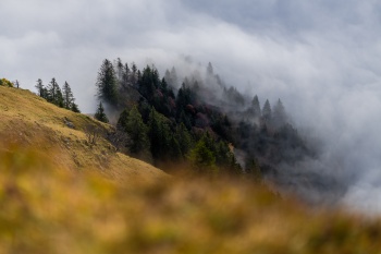 Die Meeresbrandung des Herbst