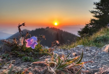 Sonnenaufgang Wildspitz