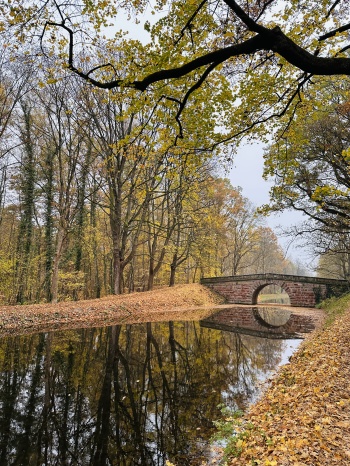 Spiegelungen des Herbstes