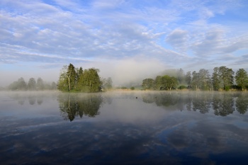 Morgens am Inkwilersee