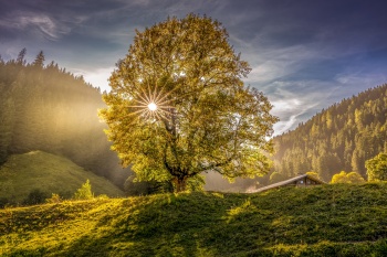 Ein Herbst Tag im Berner Oberland