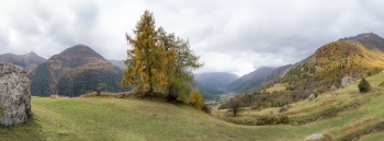 Regenpoesie im herbstlichen Engadin