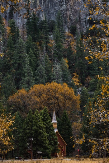 Fall in Yosemite