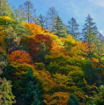 Couleurs et lumière d'automne, Valais