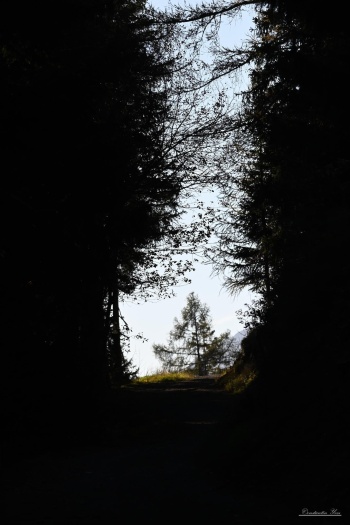 Porte ouverte sur l’automne