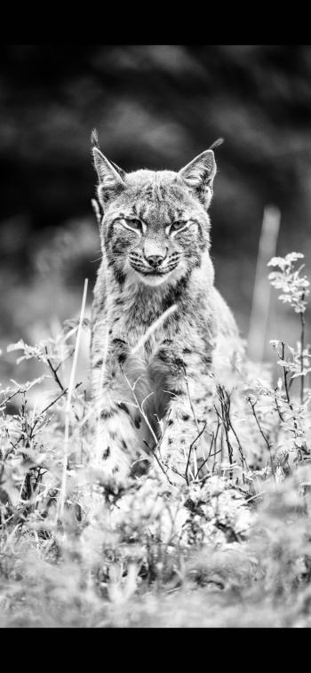 Tiefer Blick