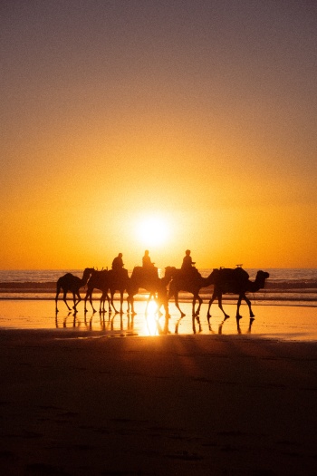 رحلة الحياة (Rihlat al-Hayat - Reise des Lebens)