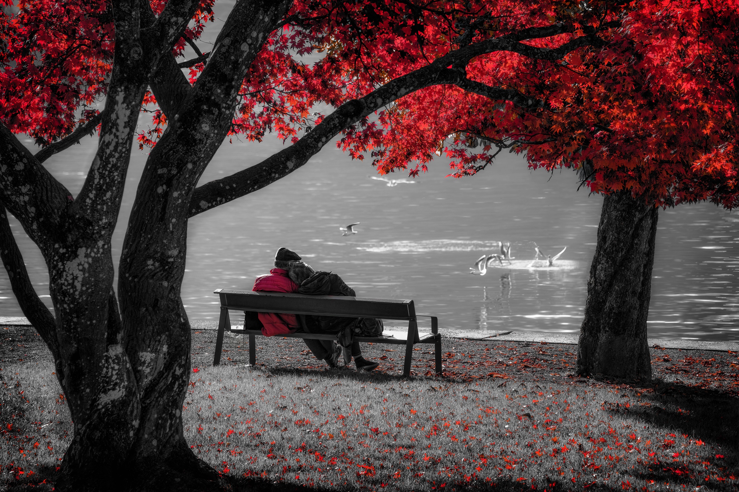 Zwischen Herbst und Ewigkeit