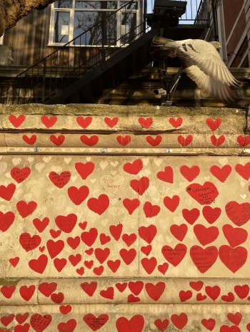 The National Covid Memorial Wall London