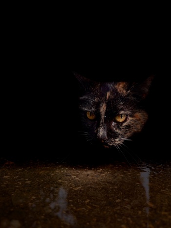 "The suspended moment"