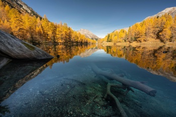 Die blaue Perle im Albulatal: Palpuognasee