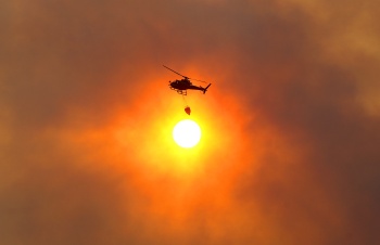 Waldbrand bei Sonnenuntergang