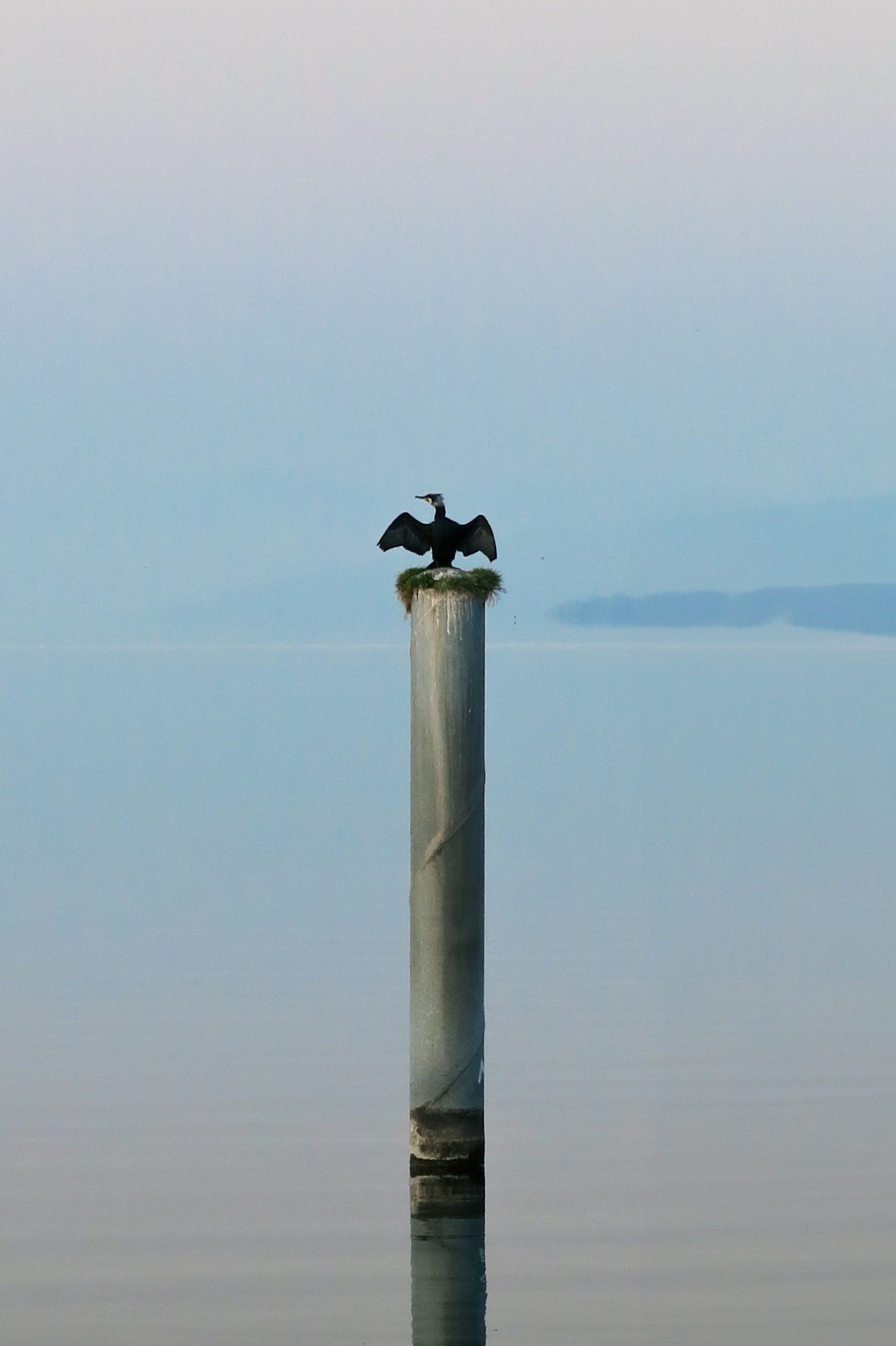 Roi d'un Royaume sans echo