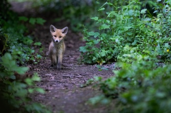 Découverte du monde