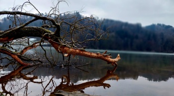 Die kontrollierte Ruhe der Tiefe