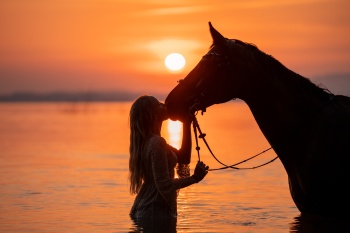 Where Words Fall Silent