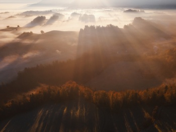 Backlight of October