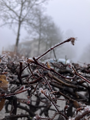 Frost Morgen