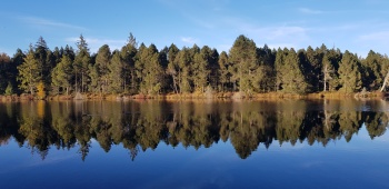 Reflets d'automne