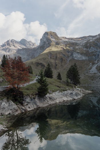 Spiegel der Natur