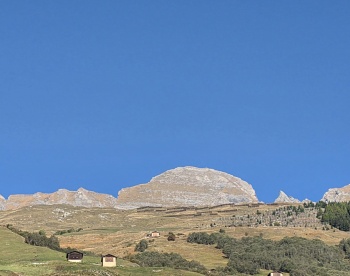 Ferier
